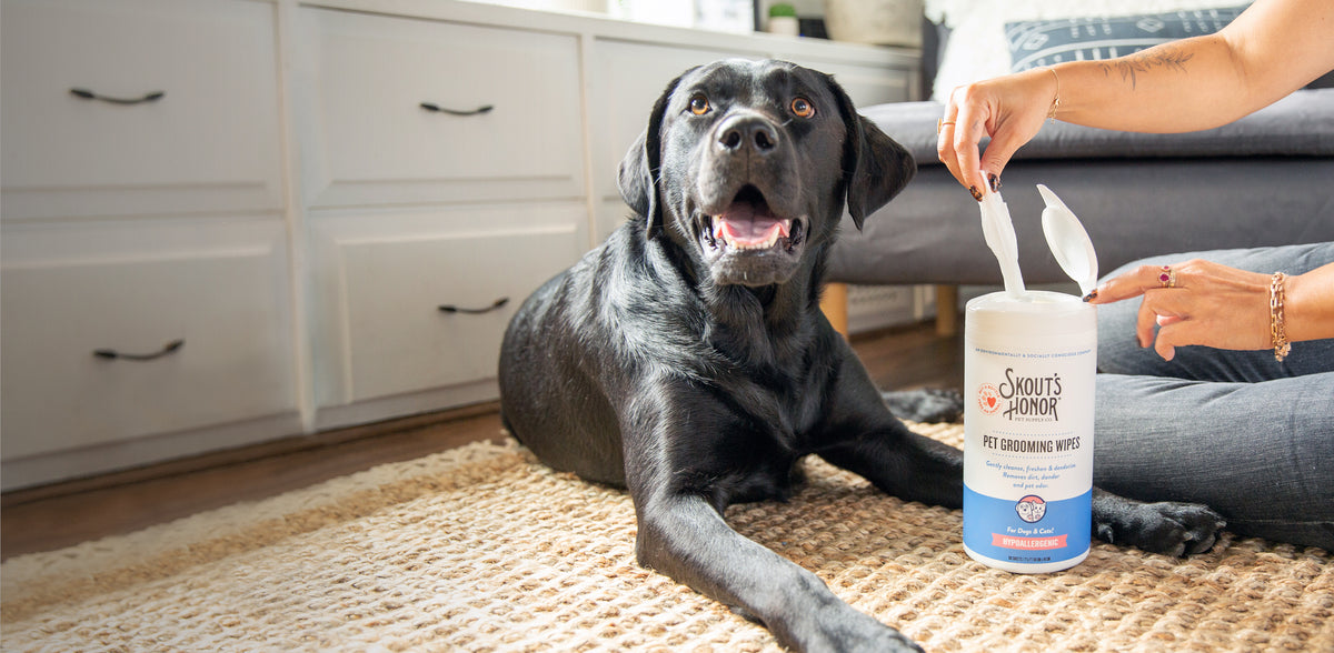 What are the Advantages of Pet Grooming Wipes?