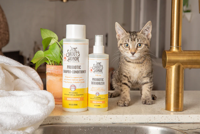 Ten Tips for Giving Your Cat a Bath!