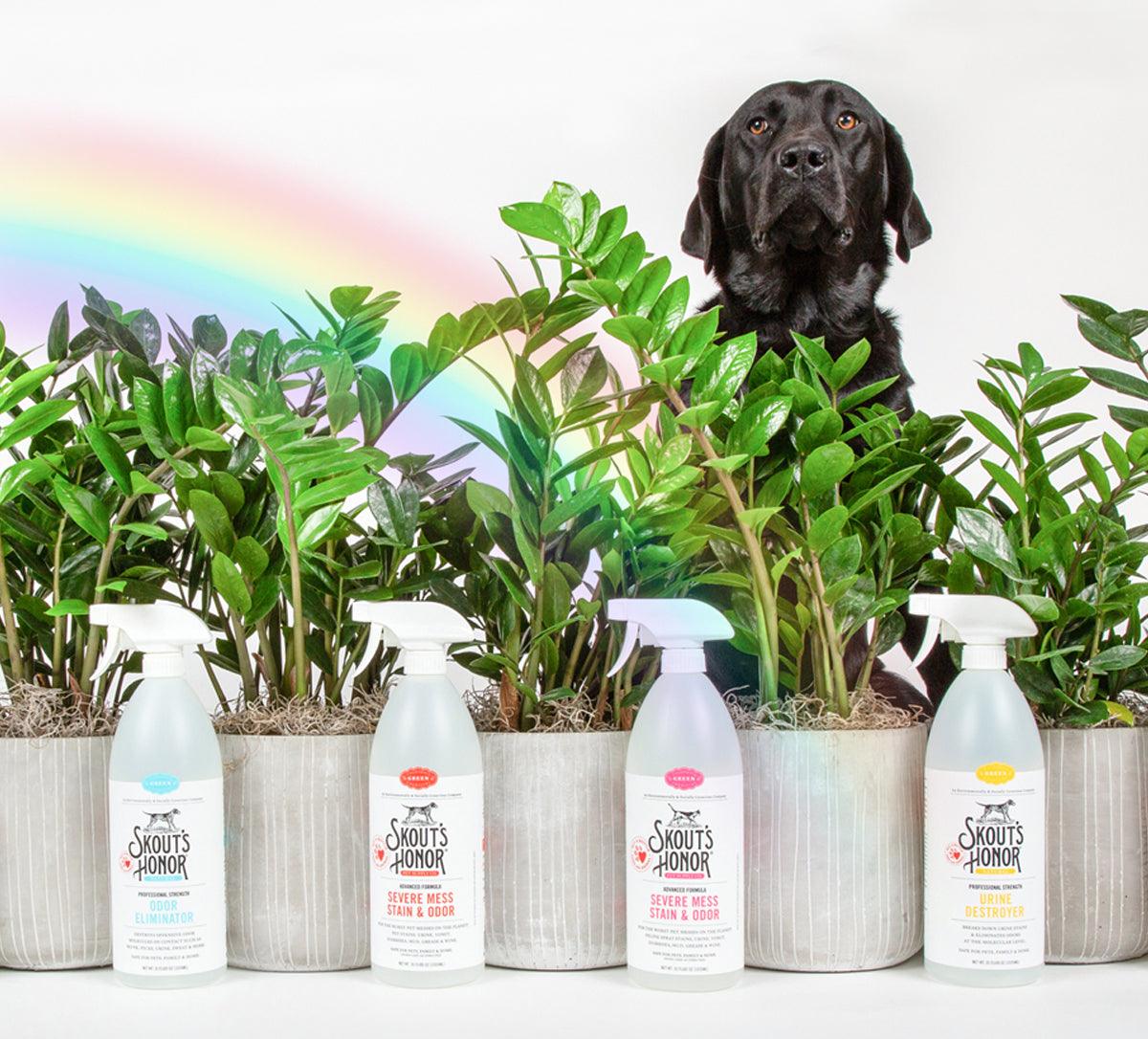 ‘The Lucky 7’ Skout’s Honor Products You’re Unlucky To Need But Lucky To Have! - Skout's Honor