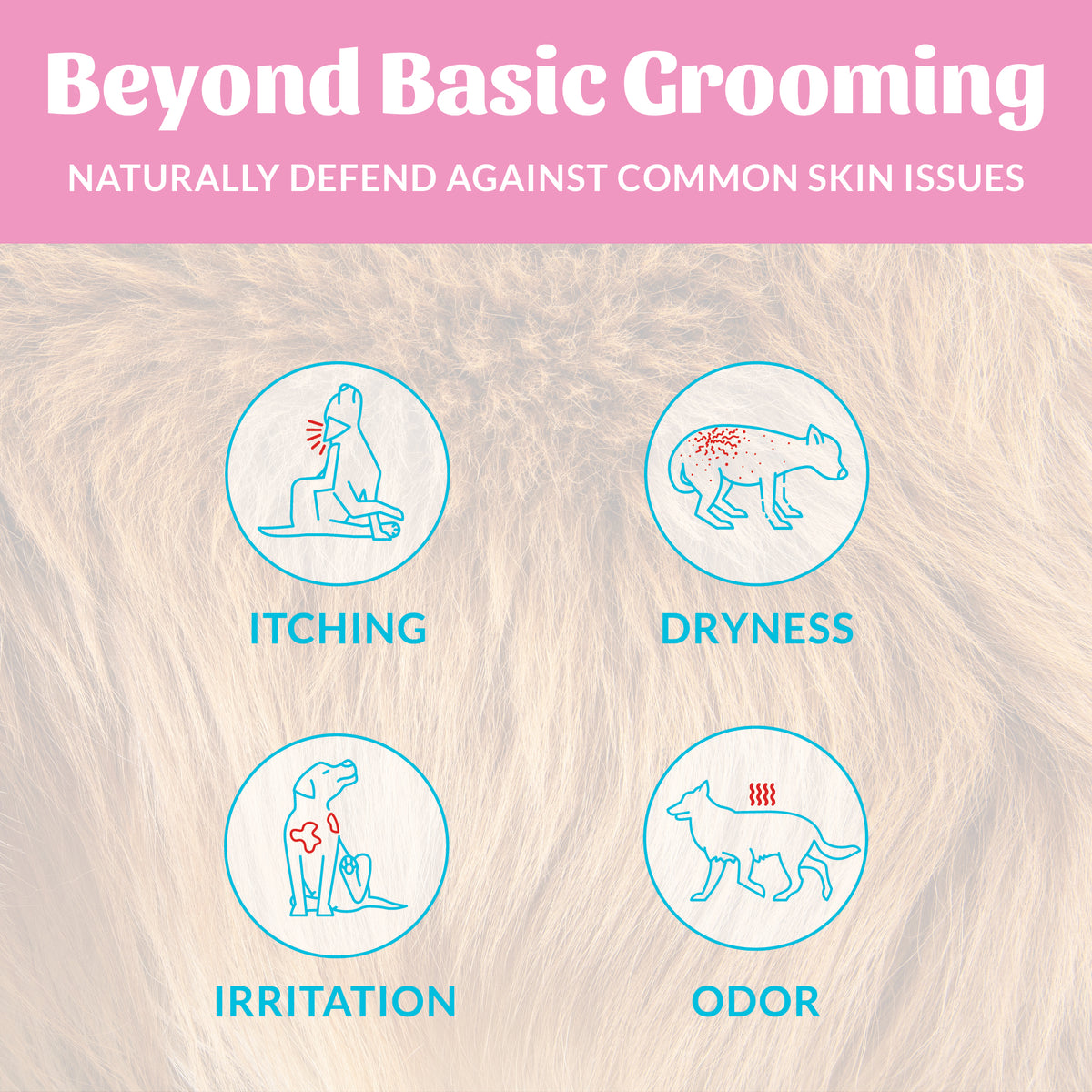 Probiotic Shampoo + Conditioner