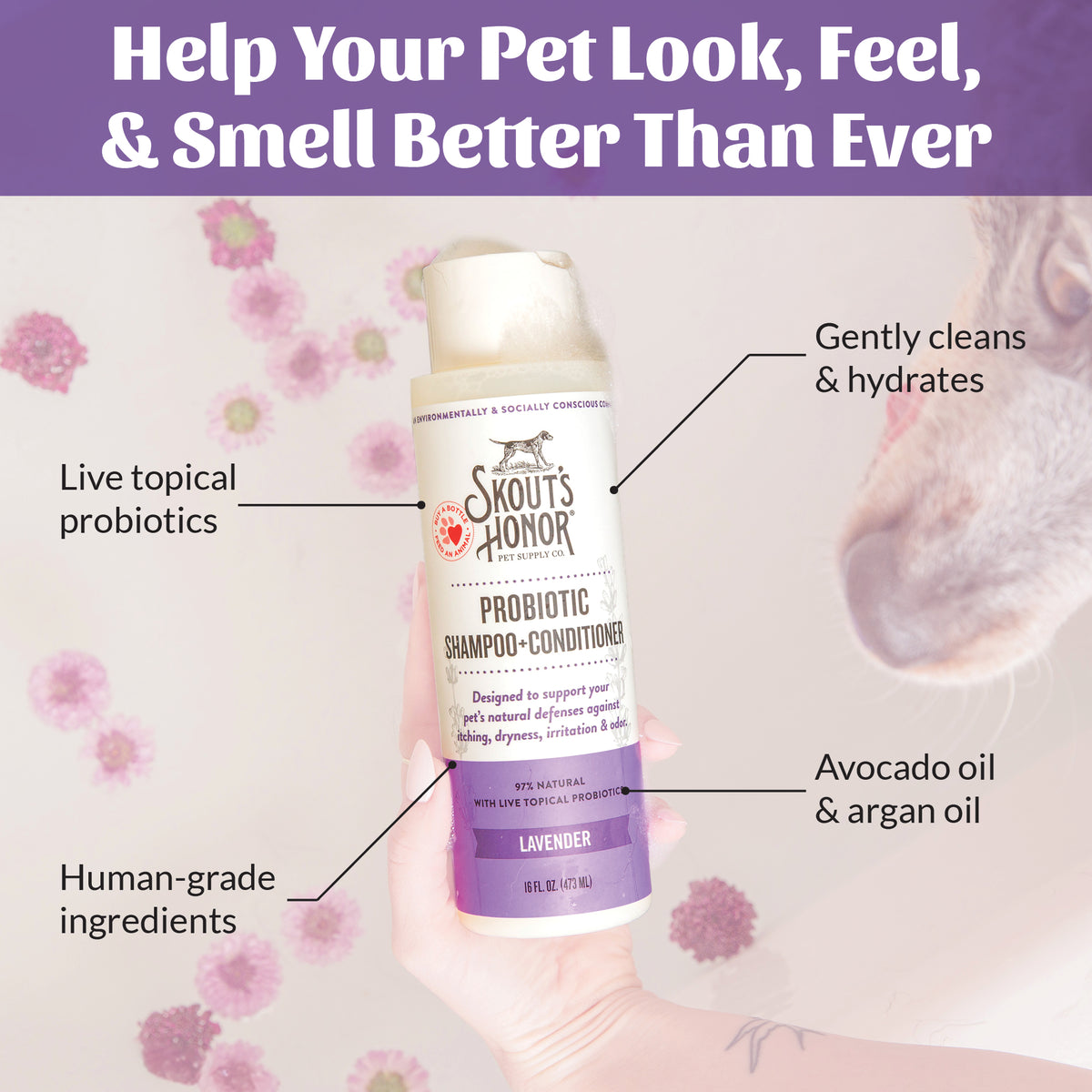 Probiotic Shampoo + Conditioner