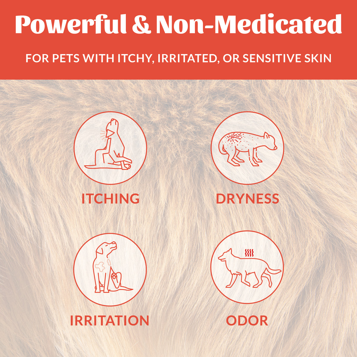 Probiotic Itch Relief Shampoo