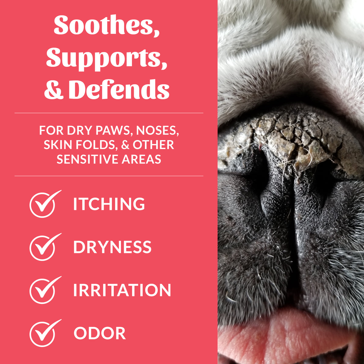 Prebiotic Pet Balm