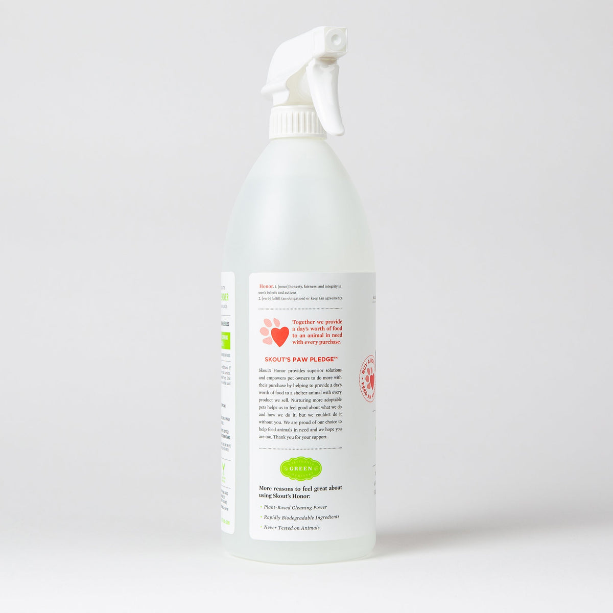 Stain & Odor Remover