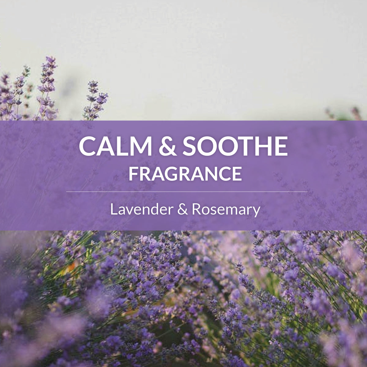 Probiotic Detangler