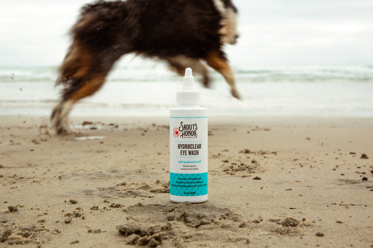 A bottle of Smokey Jumper HydroClean Eye Wash stands on a sandy beach with a blurred dog running in the background near the water.