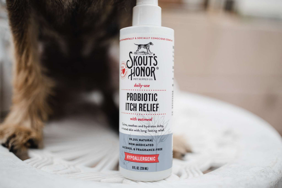 Why Does My Dog Keep Scratching? Causes and Relief Tips