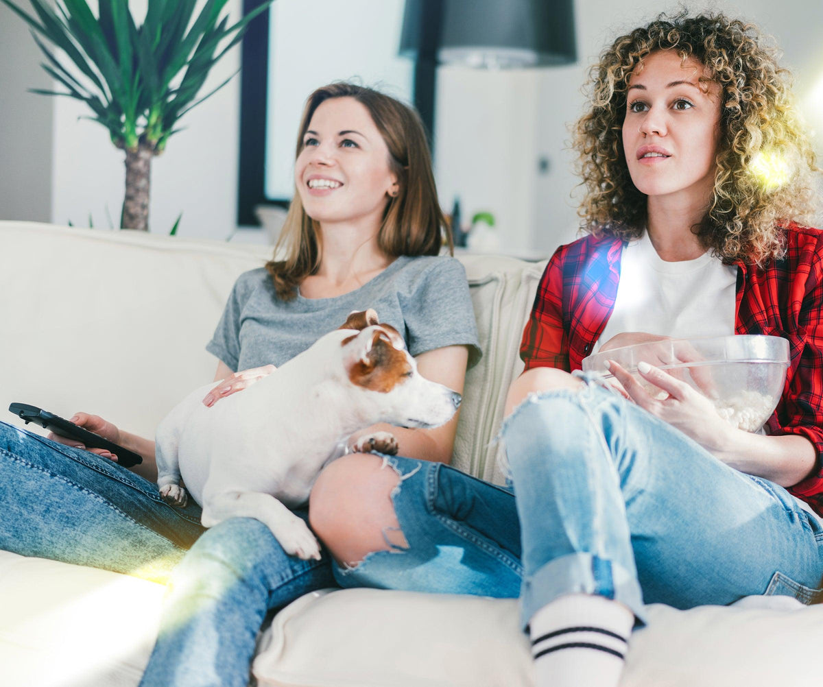 5 Ways to Establish Boundaries with Your Dog and Roommates - Skout's Honor
