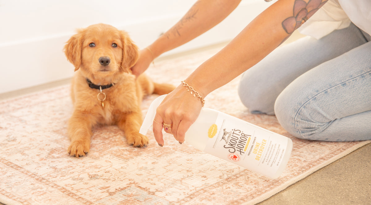Advantages of Enzyme-Free Cleaners | Skout's Honor
