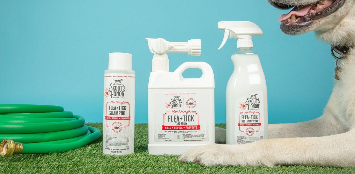 How To Get Rid of Fleas on Dogs Naturally | Skout's Honor