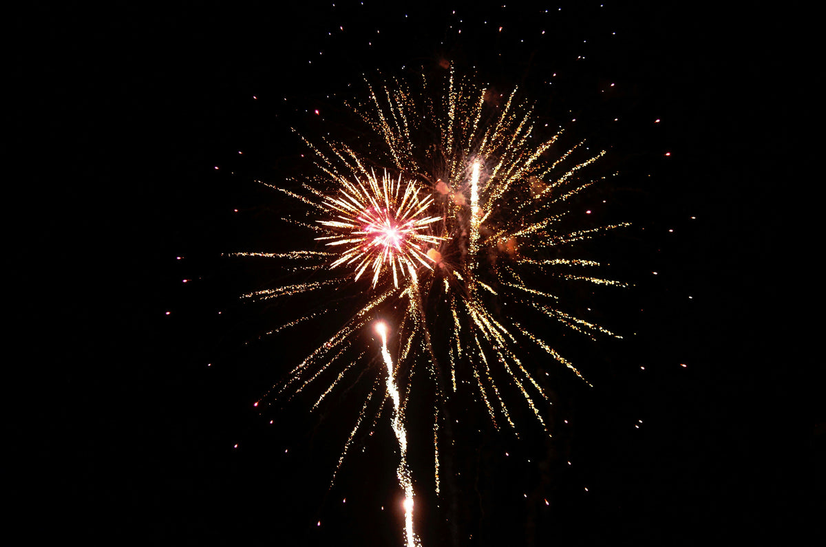 Why Are Dogs Afraid of Fireworks? Understanding and Alleviating Their Anxiety
