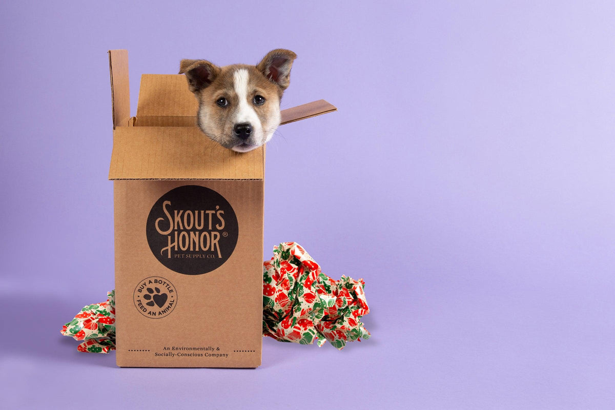 So you got a Puppy? - Skout's Honor