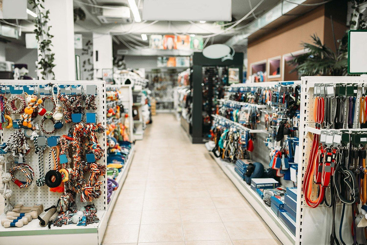 What to Buy for a New Dog: 8 Must-Have Items | Skout's Honor