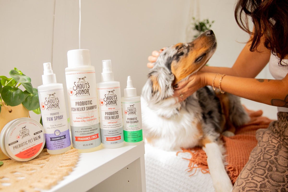 All Products