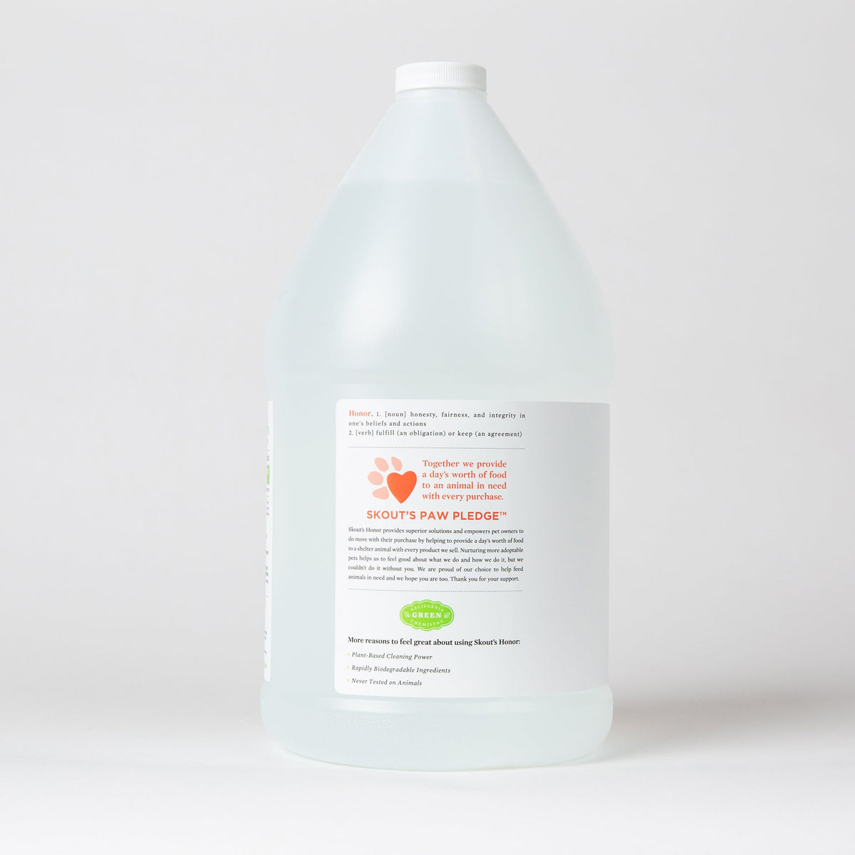 Stain & Odor Remover