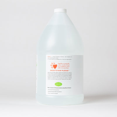 Stain & Odor Remover