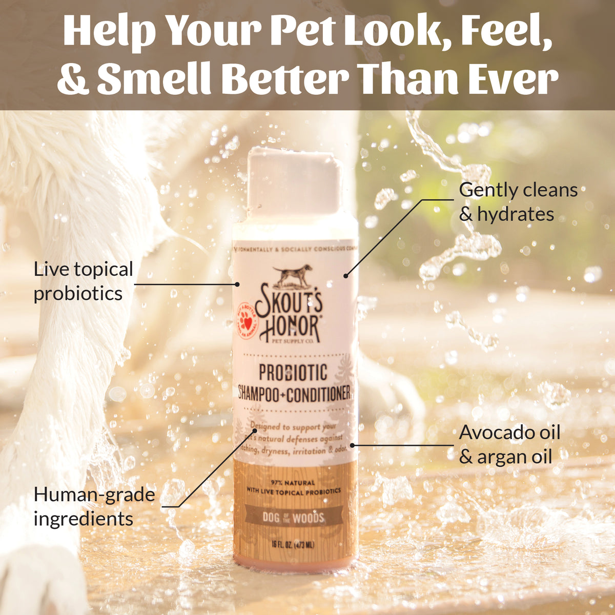 Probiotic Shampoo + Conditioner