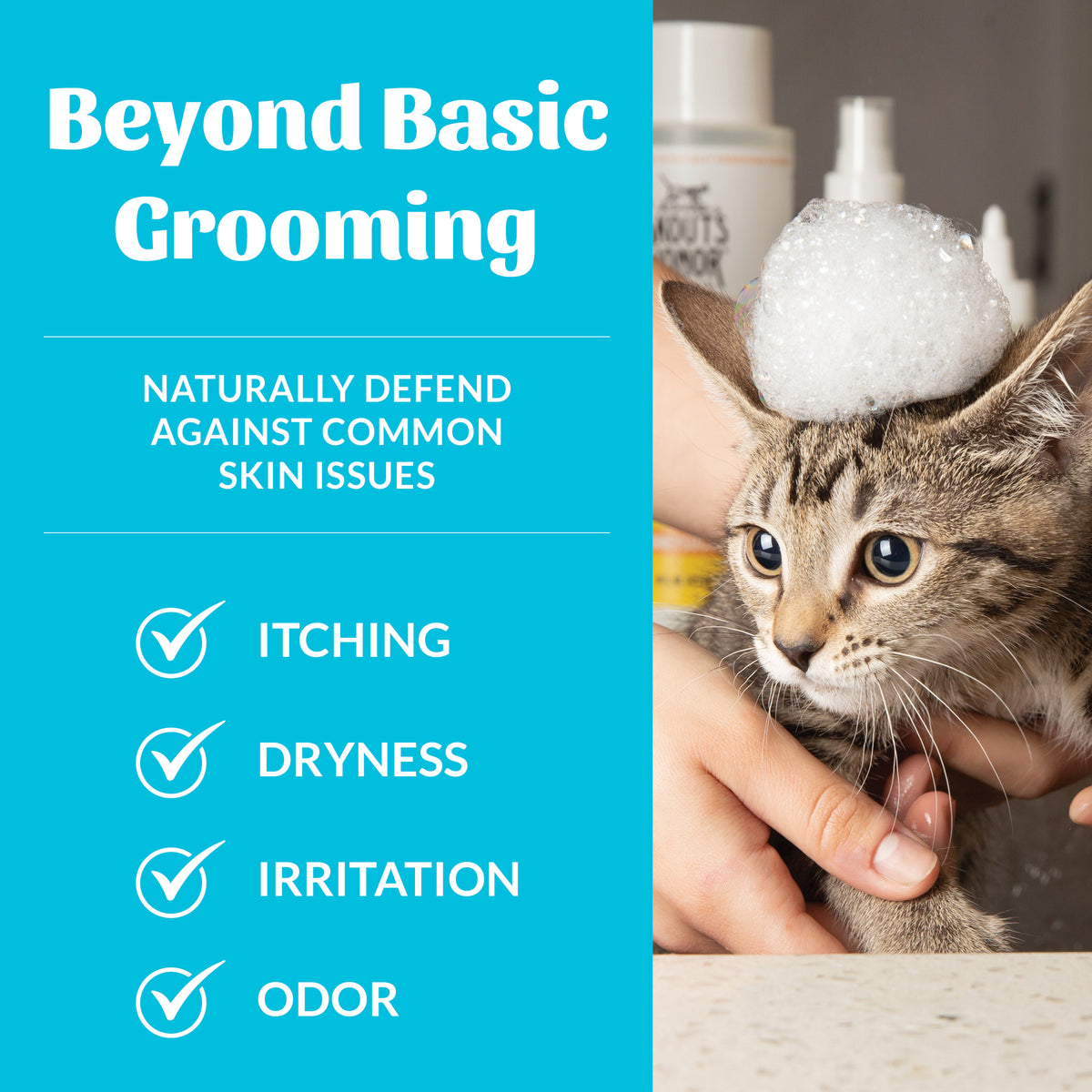 Cat Probiotic Shampoo + Conditioner Fragrance Free