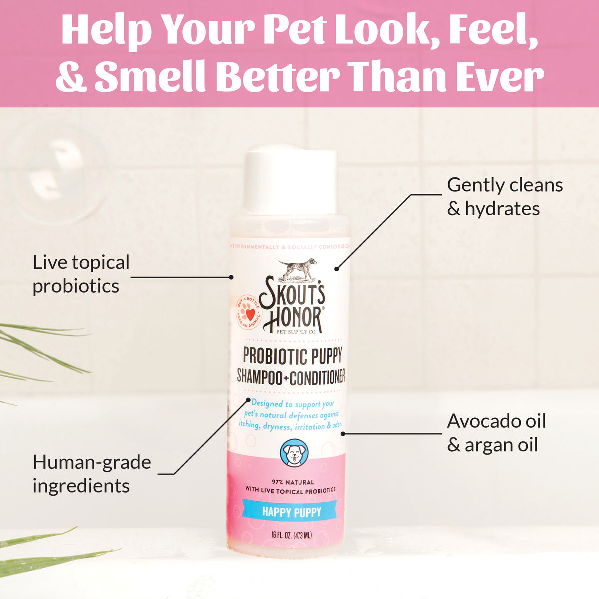 Probiotic Shampoo + Conditioner