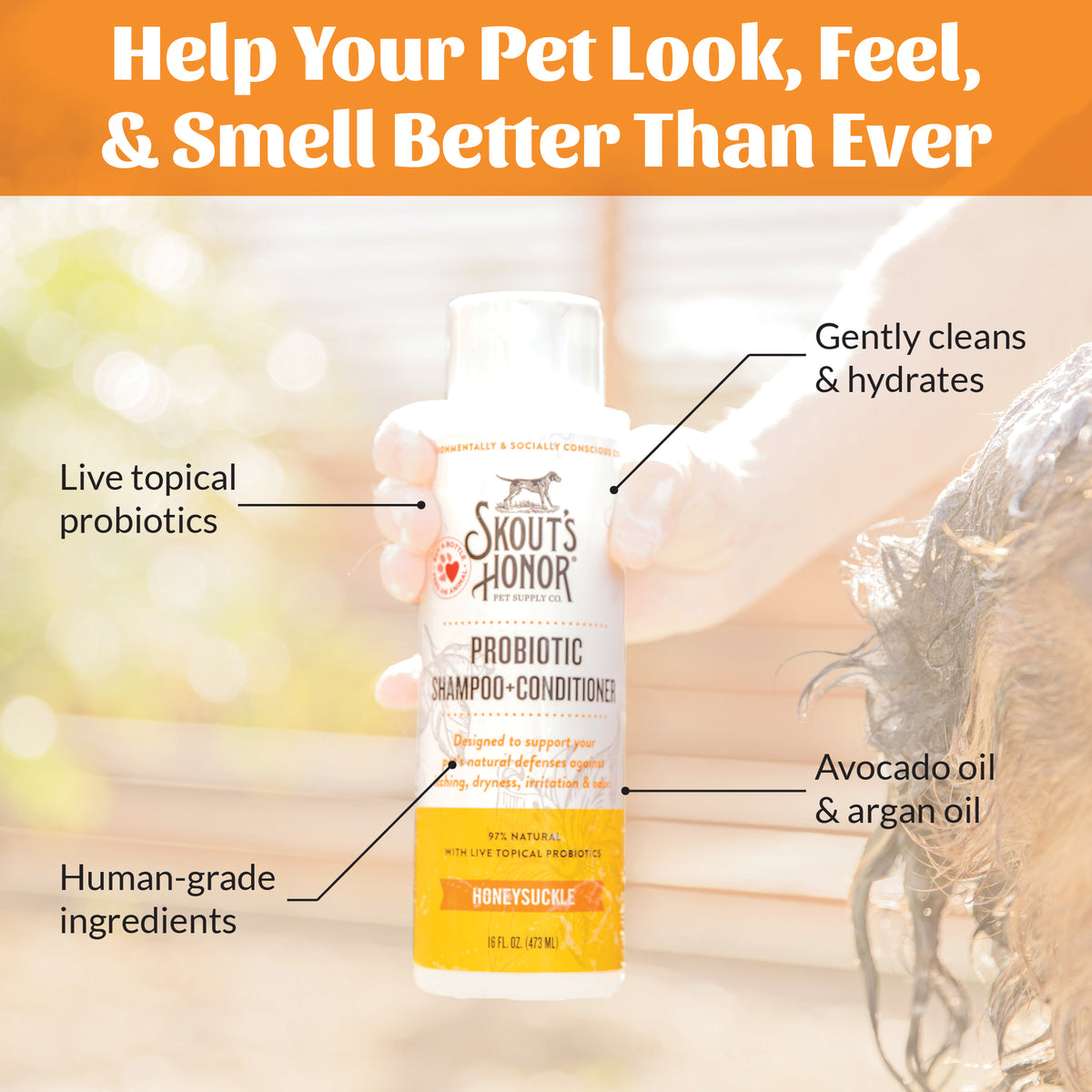 Probiotic Shampoo + Conditioner