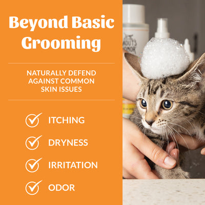 Cat Probiotic Shampoo + Conditioner Honeysuckle
