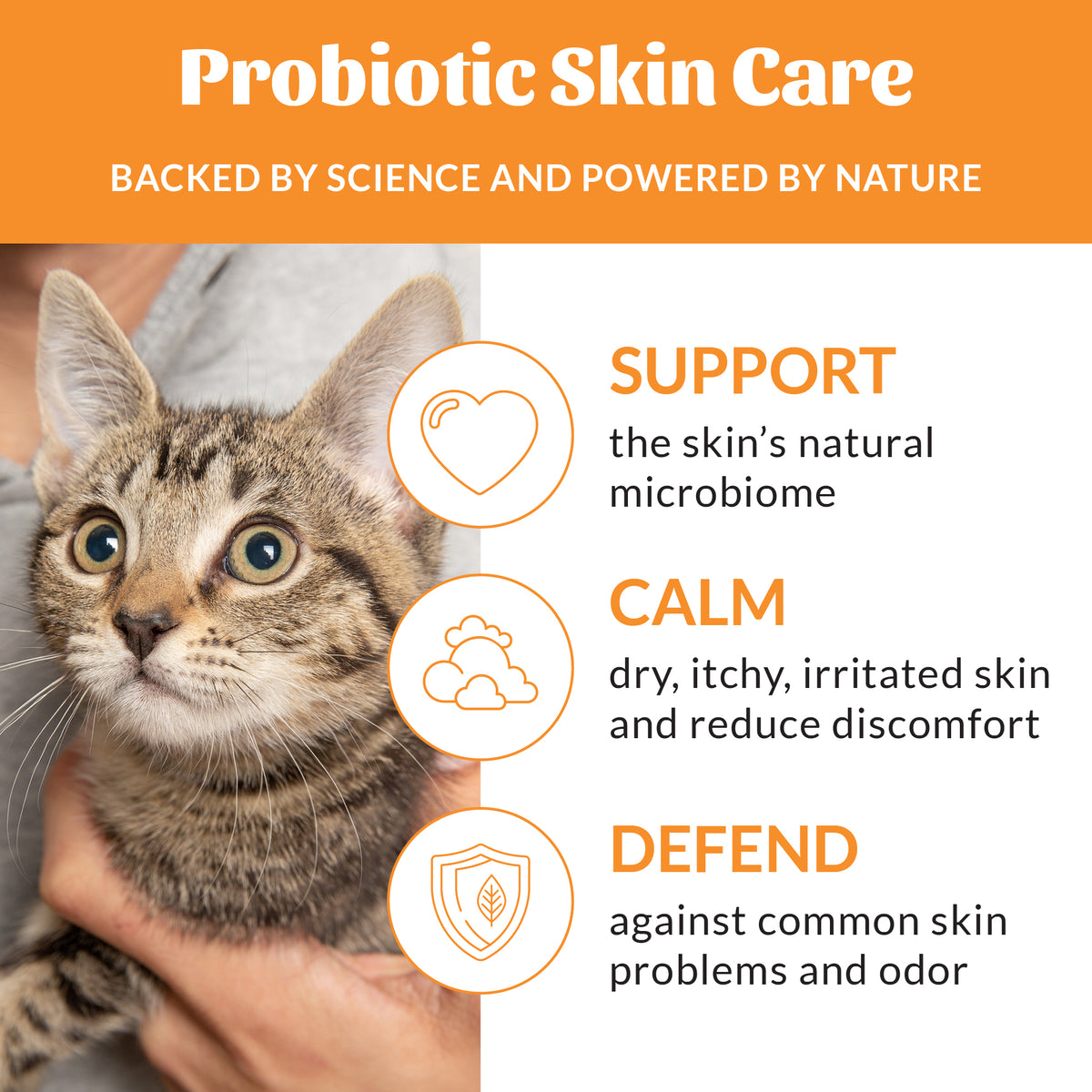 Cat Probiotic Shampoo + Conditioner Honeysuckle