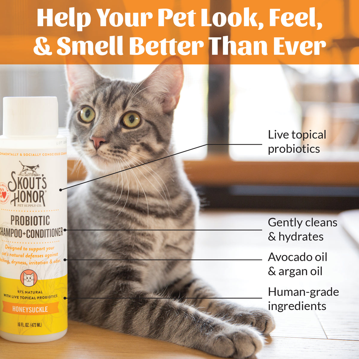 Cat Probiotic Shampoo + Conditioner Honeysuckle
