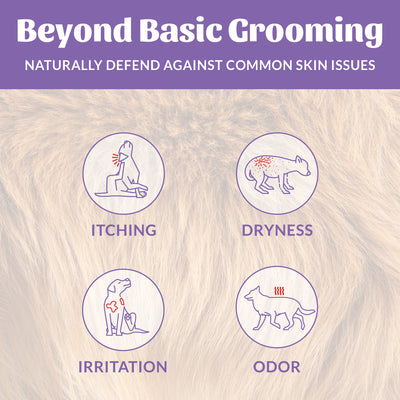 Probiotic Shampoo + Conditioner