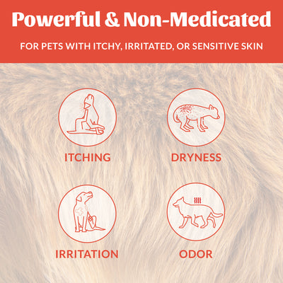 Probiotic Itch Relief Shampoo