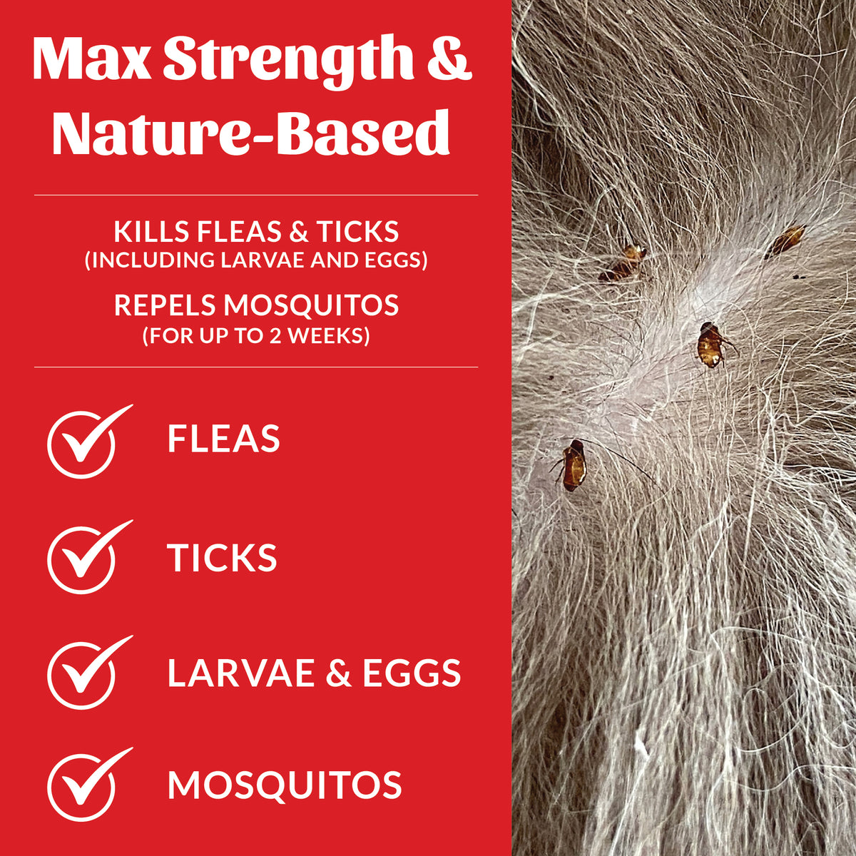 Flea+Tick Dog & Home Spray