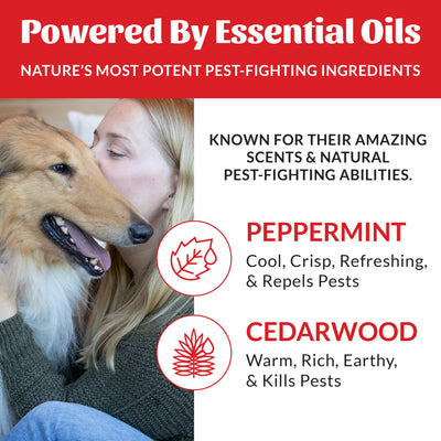 Flea+Tick Dog & Home Spray
