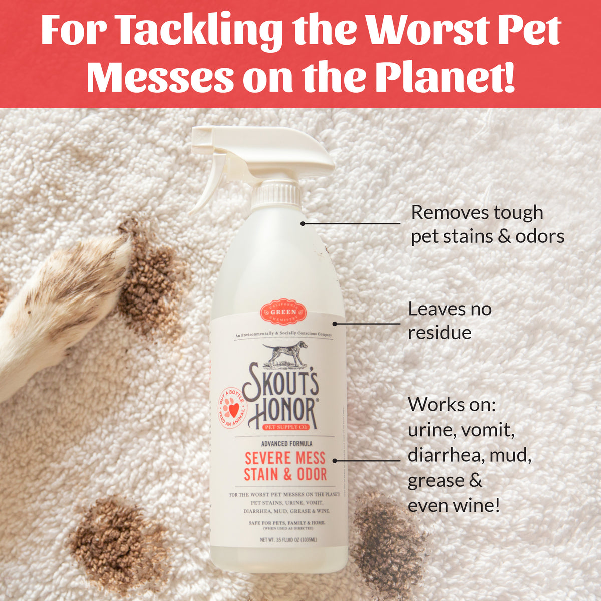 Severe Mess Stain & Odor Advanced Formula