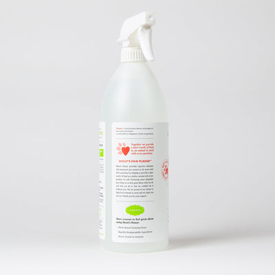 Stain & Odor Remover