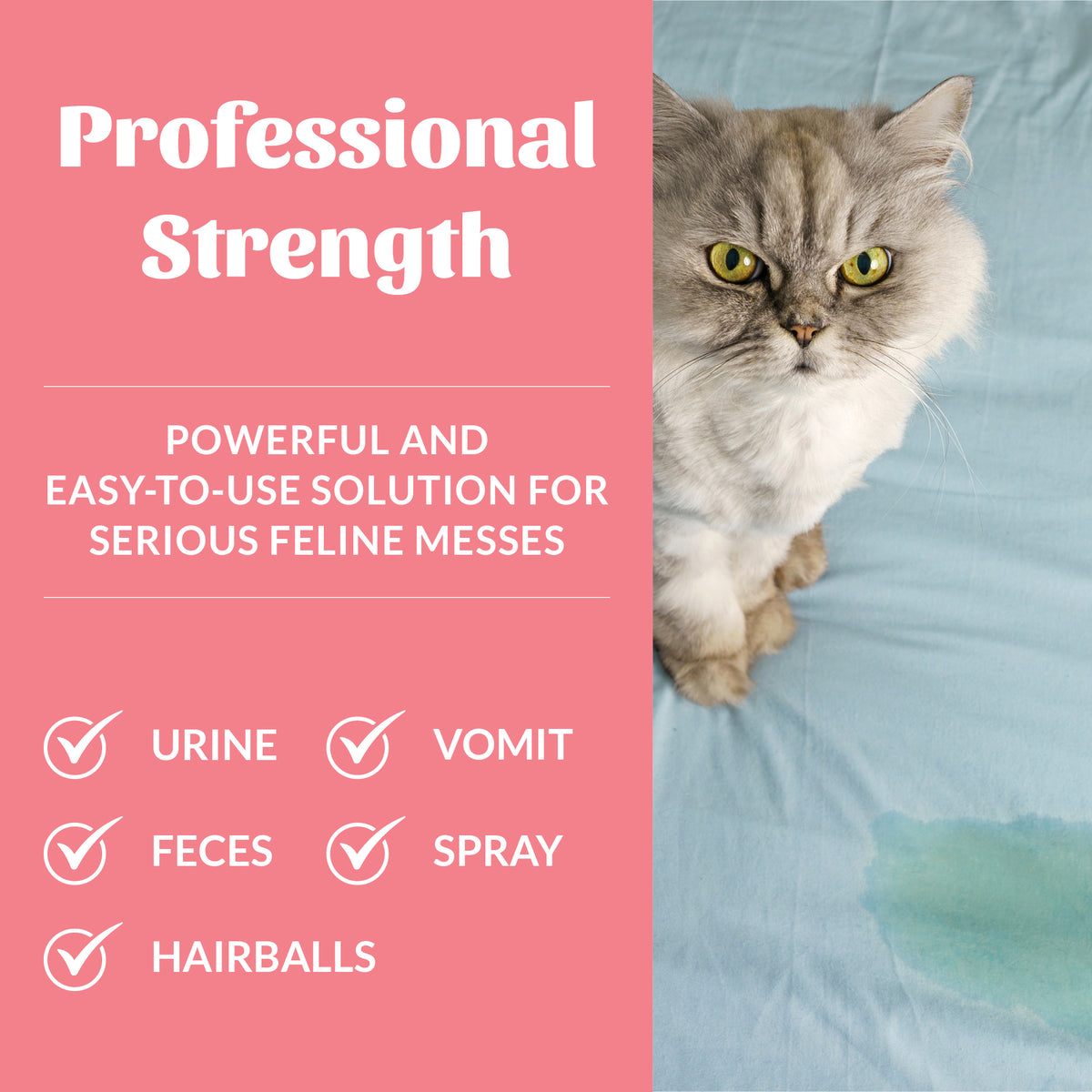 Cat Urine & Odor Destroyer