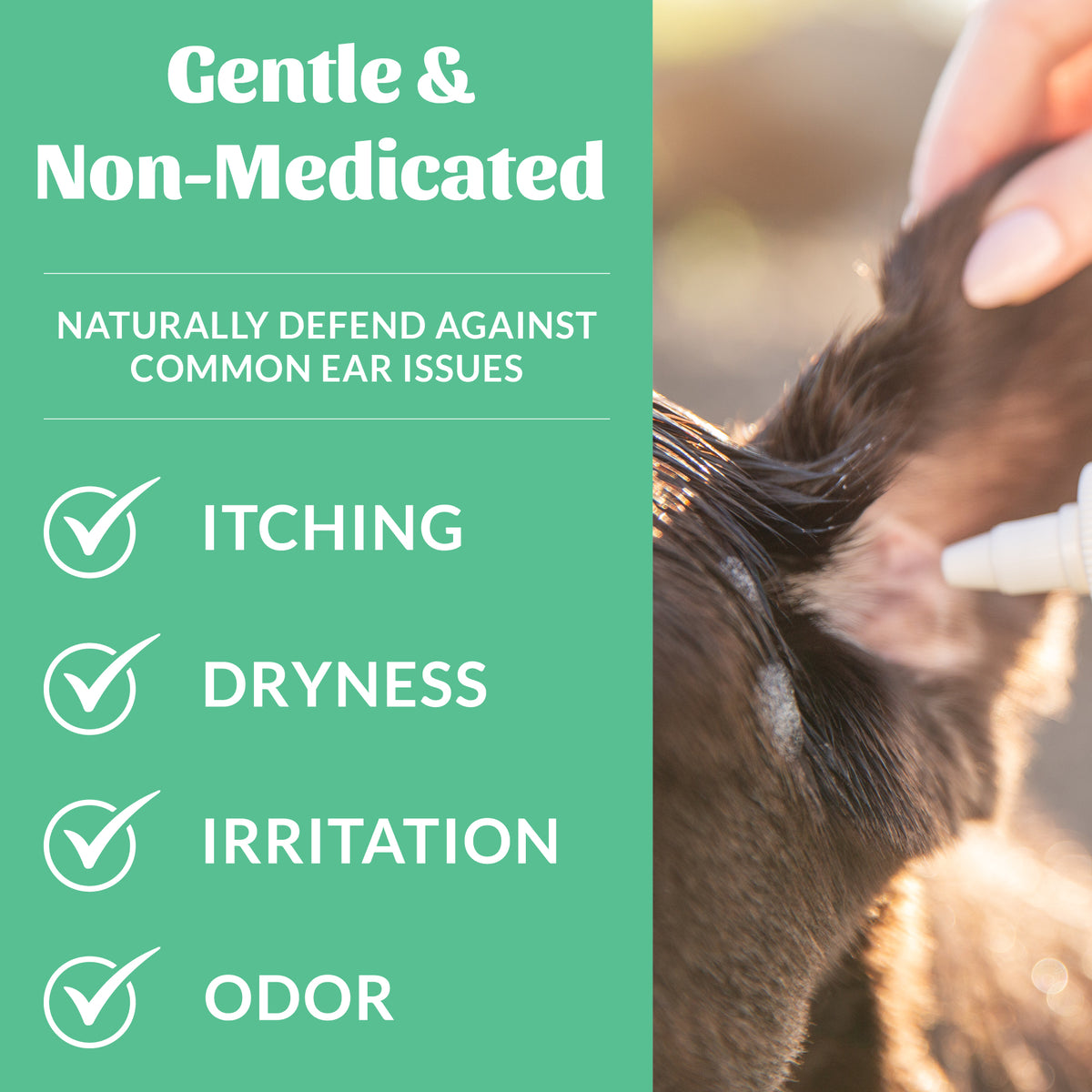 Probiotic Ear Cleaner