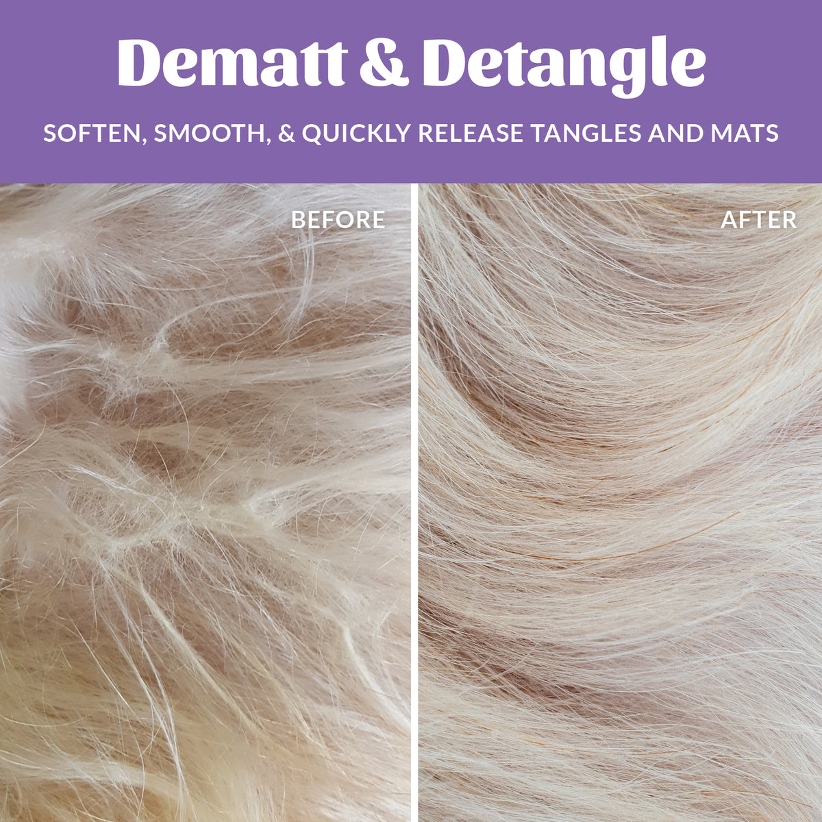 Probiotic Detangler