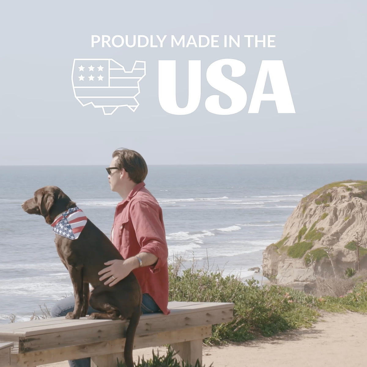Prebiotic Pet Balm