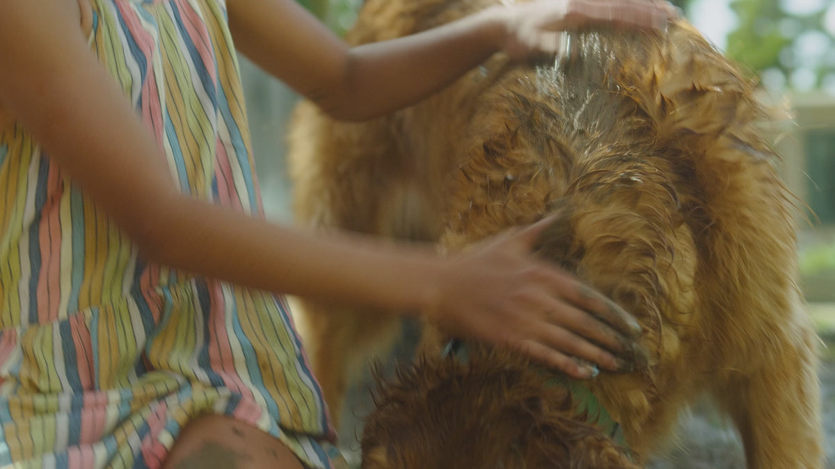 Load video: Skout's Honor brand video showing grooming products being used to bathe a puppy in the yard.